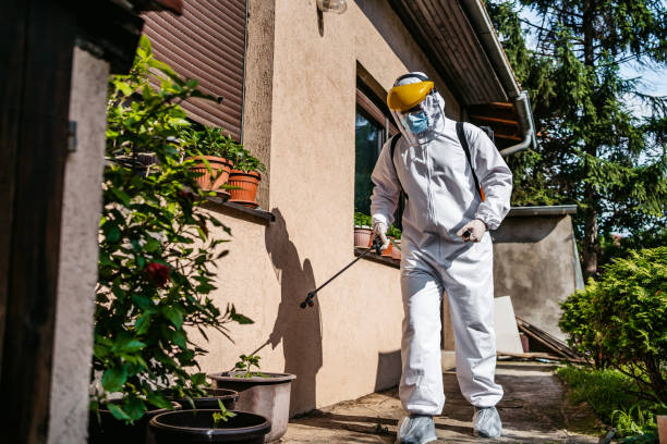 China Lake Acres, CA Pest Control Company