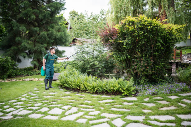 Best Termite Control Services  in China Lake Acres, CA