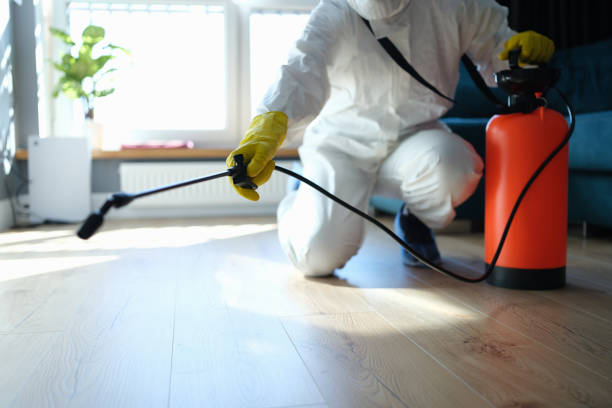 Best Commercial Pest Control Services  in China Lake Acres, CA