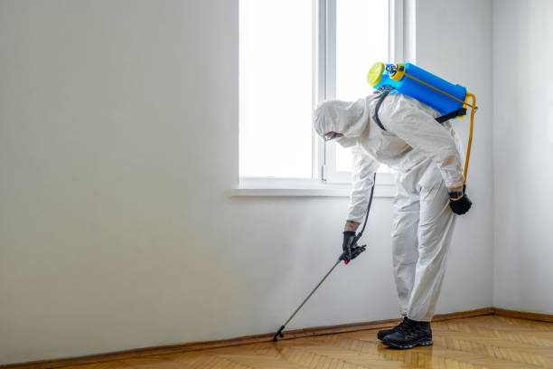 Best Wildlife Control Services  in China Lake Acres, CA