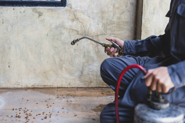 Best Best Pest Control Companies  in China Lake Acres, CA